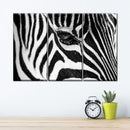 Zebra Eye Wall Art