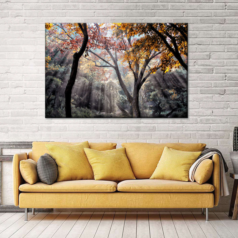 Forest Sun Rays Wall Art