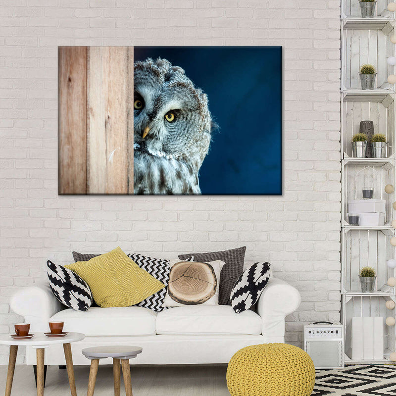 Peeking Owl Wall Art