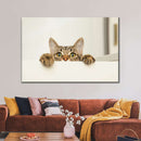 Peeking Young Cat Wall Art