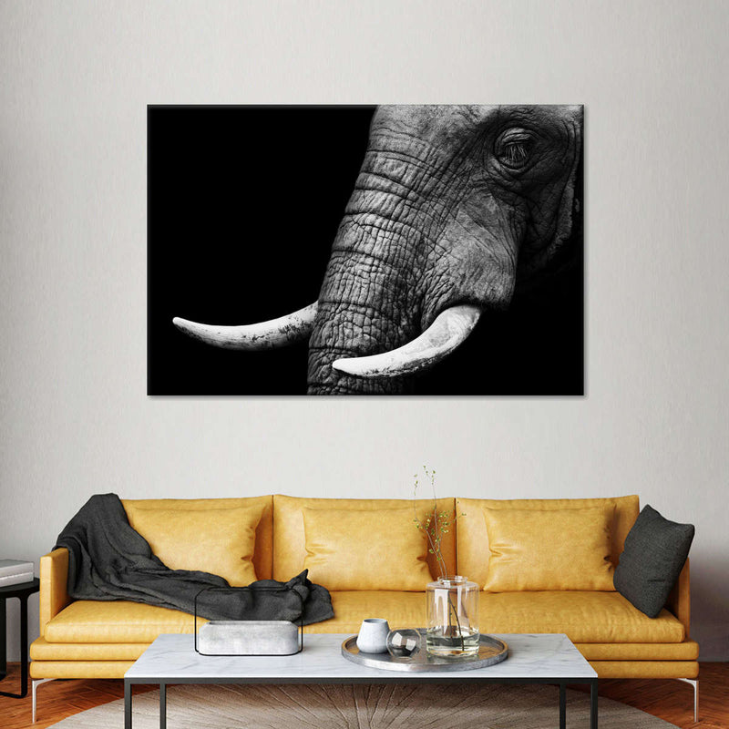 Elephant Close Up Wall Art