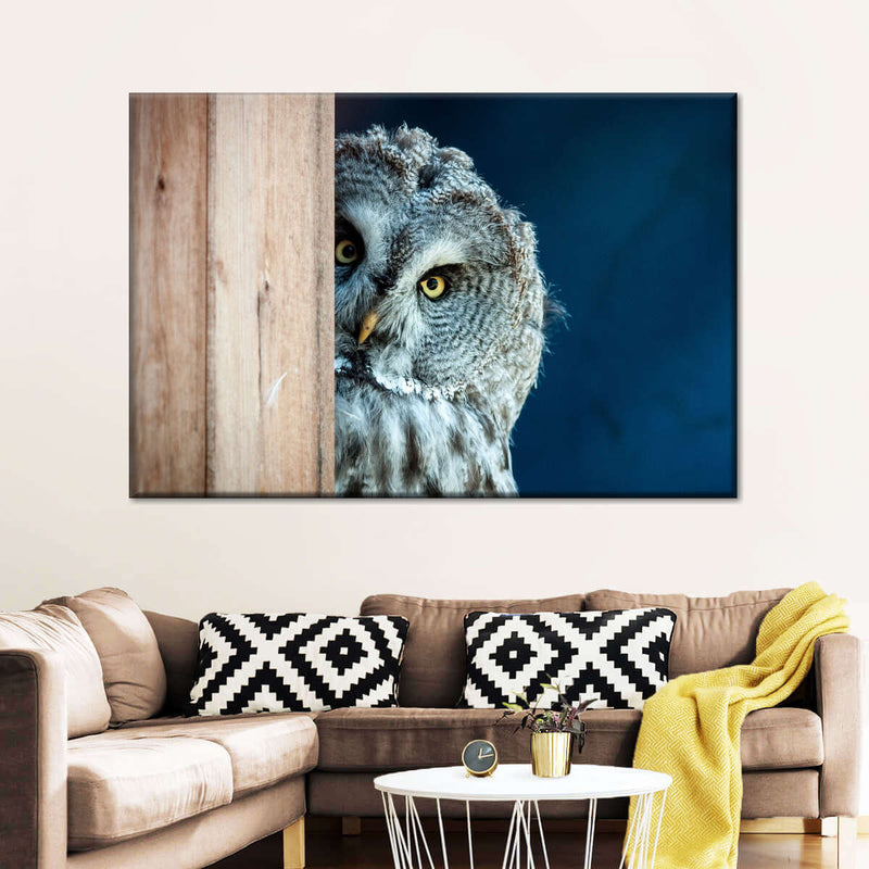 Peeking Owl Wall Art