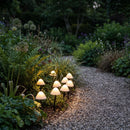 Mycena Outdoor Garden Lamp
