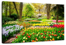 Tulips Flower Wall Art