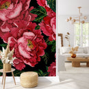 Red Peonies Wallpaper