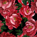 Red Peonies Wallpaper