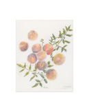 Pastel Peaches