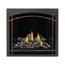 Napoleon Altitude X 36-Inch Direct Vent Natural Gas Fireplace [AX36NTE-1] (SAK61243)