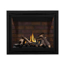 Napoleon Altitude X Direct Vent 42-Inch Propane Fireplace [AX42PTE-1] (SAK72948)