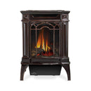 Napoleon Arlington 20 19-Inch Cast Iron Millivolt Ignition Majolica Brown Natural Gas Stove [GDS20NNSB] (SAK43798)