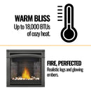Napoleon Ascent 36 35-Inch Direct Vent Millivolt Ignition Fireplace [B36N/PTR-1] (SAK85316)