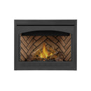 Napoleon Ascent 42 42-Inch Direct Vent Electronic Ignition Fireplace With Back-Up Control System [B42N/PTRE] (SAK96214)