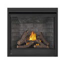 Napoleon Ascent Deep 42-Inch Direct Vent Electronic Ignition Natural Gas Fireplace [D42NTRE] (SAK42391)