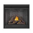 Napoleon Ascent Deep 42-Inch Direct Vent Electronic Ignition Natural Gas Fireplace [D42NTRE] (SAK42391)