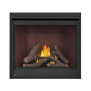 Napoleon Ascent Deep 42-Inch Direct Vent Electronic Ignition Natural Gas Fireplace [D42NTRE] (SAK42391)