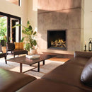 Napoleon Elevation X 42 44-Inch Direct Vent Electronic Ignition Propane Gas Fireplace [EX42N/PTEL] (SAK83652)
