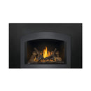 Napoleon Oakville 3 Direct Vent Electronic Ignition Natural Gas Fireplace Insert [GDI3NEA] (SAK82316)