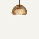 Nasaku Pendant Light