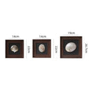 DecorBites™ Conch Shell Decorative Painting Frame Pendant Wall Ornaments