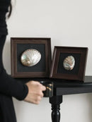 DecorBites™ Conch Shell Decorative Painting Frame Pendant Wall Ornaments