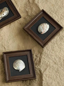 DecorBites™ Conch Shell Decorative Painting Frame Pendant Wall Ornaments