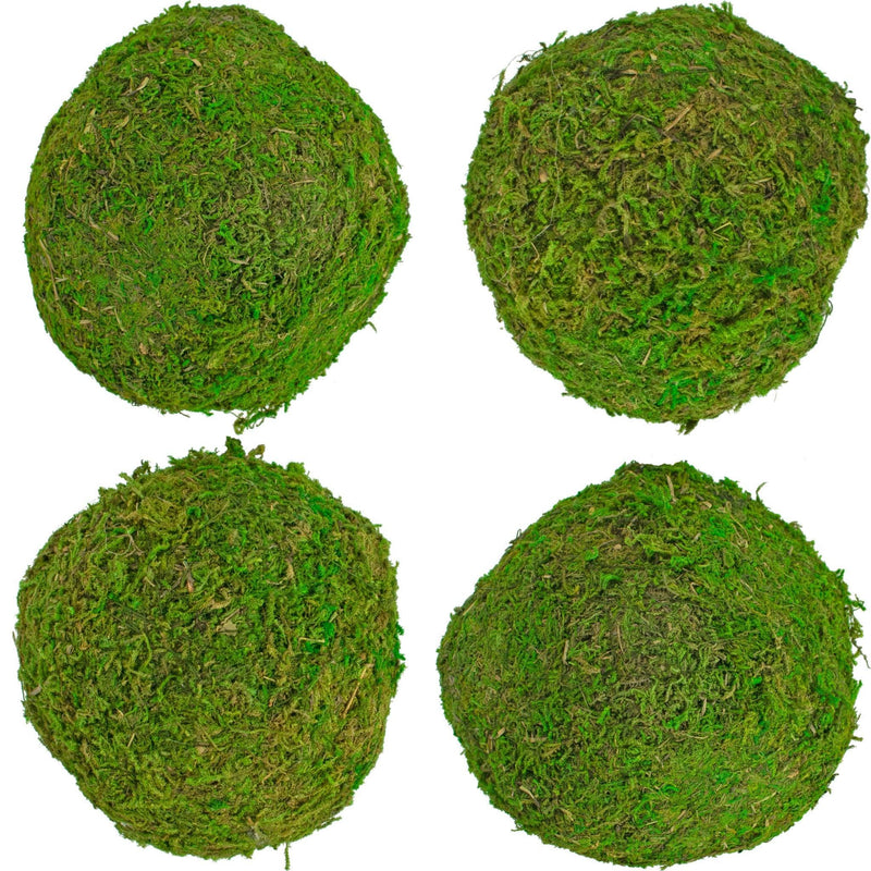 Real Decorative Moss Balls