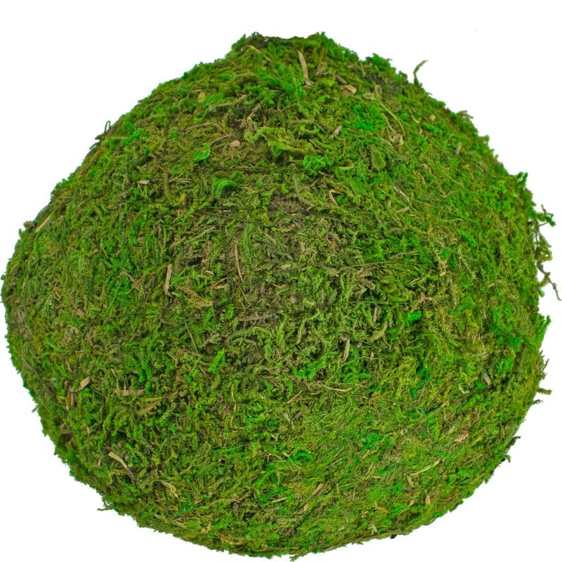 Real Decorative Moss Balls