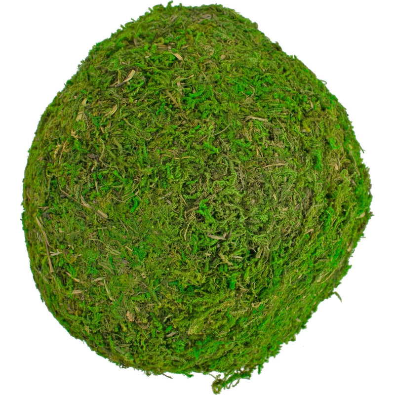 Real Decorative Moss Balls