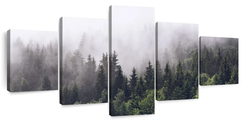 Hazy Pine Forest Wall Art