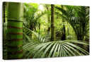 Into The Jungle Wall Art