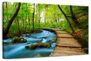 Boardwalk In The Forest Wall Art