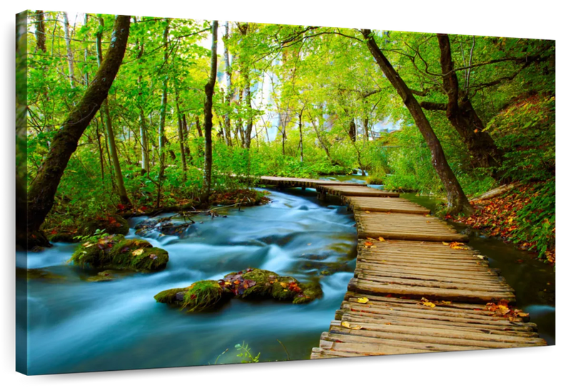 Boardwalk In The Forest Wall Art