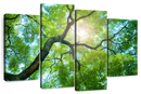Tree Canopy Sunshine Wall Art