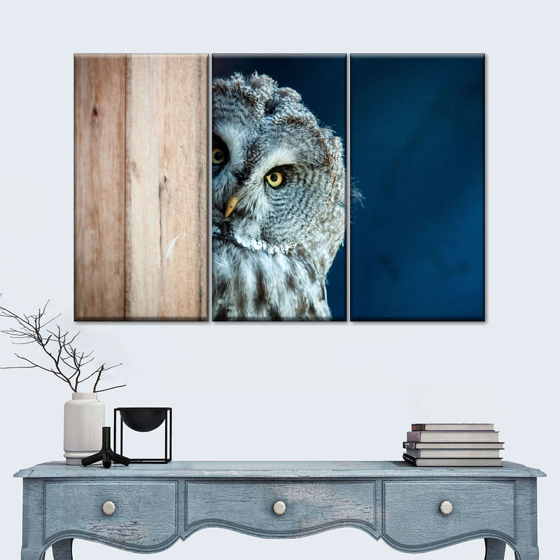 Peeking Owl Wall Art