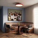 Nehos Ceiling Light