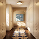 Nehos Ceiling Light