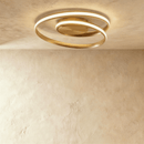 Nelufar Ceiling Light
