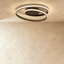 Nelufar Ceiling Light