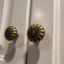 Nexily Knob