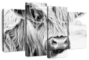 Long Haired Cow Wall Art