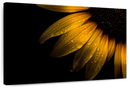 Sunflower Water Wall Art