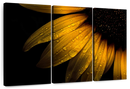 Sunflower Water Wall Art
