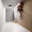 Noira Ceiling Light