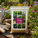 No Mow Bee Lawn Native Seed Wildflower Mix | 1.76 oz | Prairie Legacy Inc.