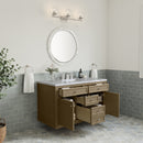 James Martin Chicago 48" Single Bathroom Vanity, Walnut Whisper