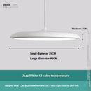 Nordic Modern Simple LED Chandelier Restaurant Chandelier Designer Chandelier