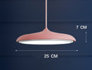 Nordic Modern Simple LED Chandelier Restaurant Chandelier Designer Chandelier