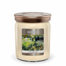 NOUVEAU™ - Lavender Aura™, 3 - Wick, Candy Jar Candle (Collective)