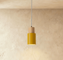 Nouveau Pendant Light