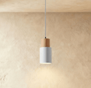 Nouveau Pendant Light